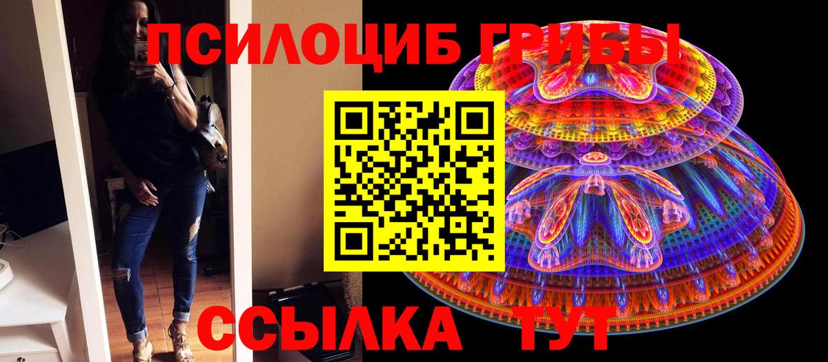 Псилоцибиновые грибы прущие грибы  Галлюциногенные грибы ЛСД  Вход с VPN  Мичуринск 