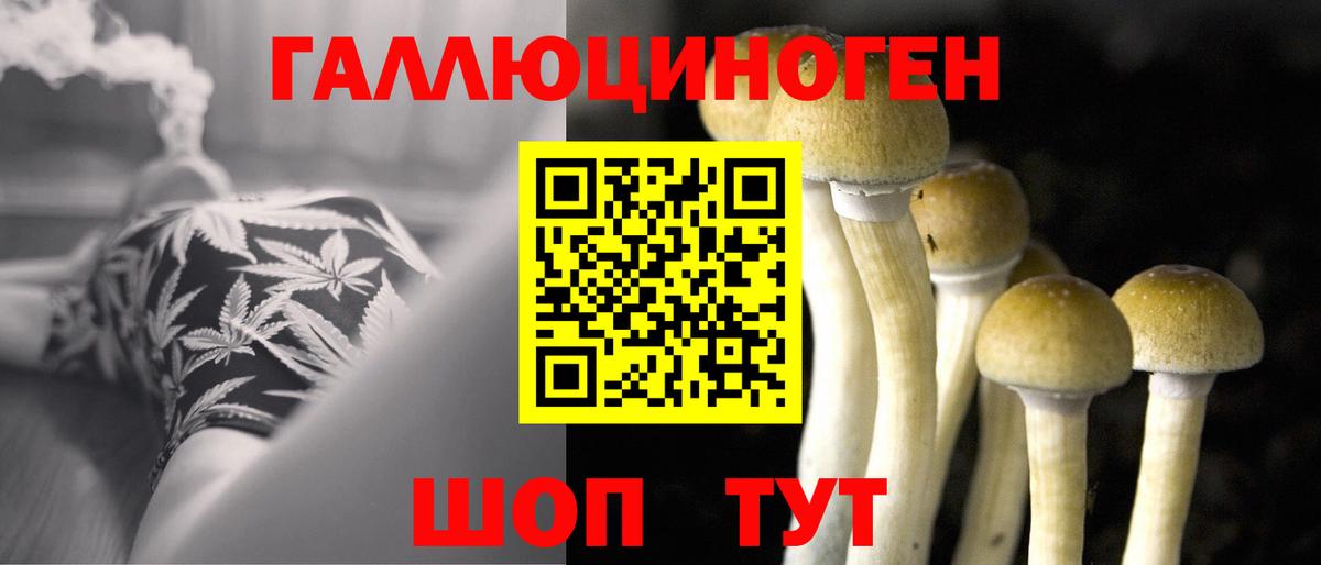 Галлюциногенные грибы мухоморы Мичуринск